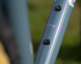 Detail image of the downtube of the Marin Pine Mountain 1.